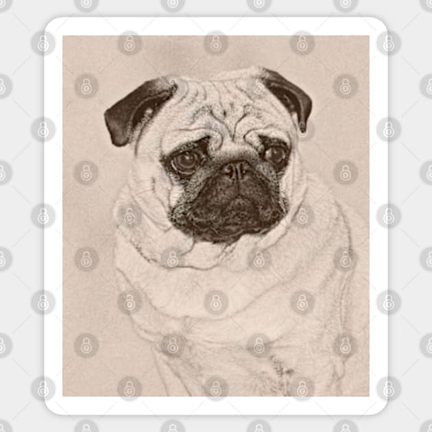 Pug Dog Sticker by Avalinart